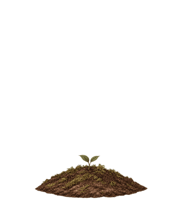 A seedling planted for 2026, kind still a secret: stage 1 of 12, 0 of 30 books
